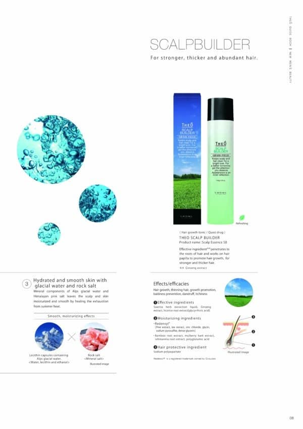 Lebel THEO Scalp Builder - Image 4